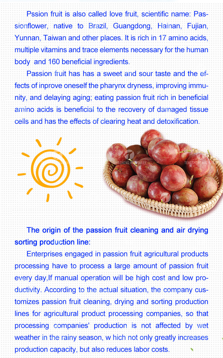 Silvery Personalization Passion Fruit And Vegetable Processing Line Fruit Cleansing Drying