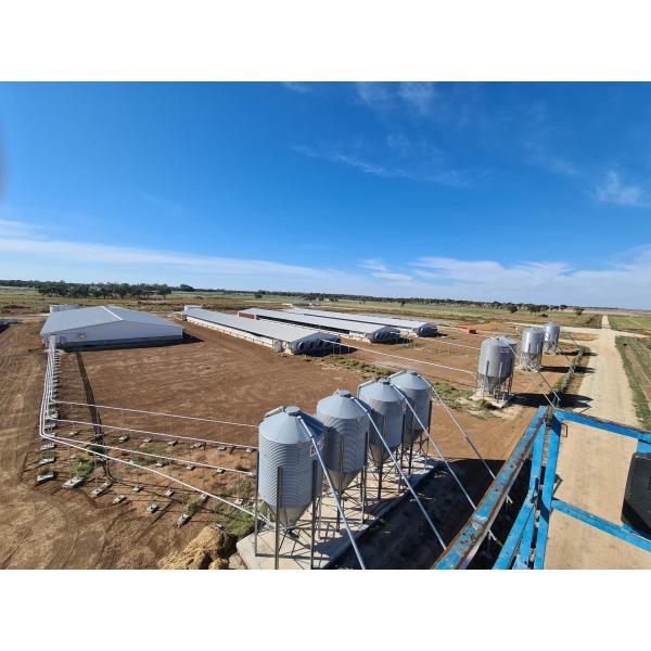 Steel Piggery House Onsite Installation Chicken Shed Construction