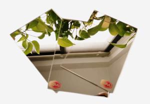 China Durable Silver Acrylic Plastic Mirror Sheet 1220x1830mm 1.8-30mm Thickness For Advertising Sign wholesale