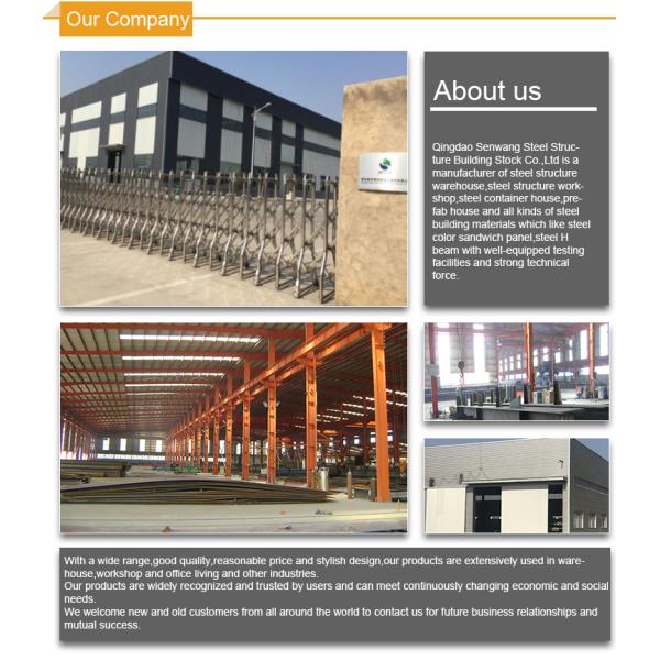 Customized Durable Steel Structure Shed Workshop / Hangar / Hall Buildings