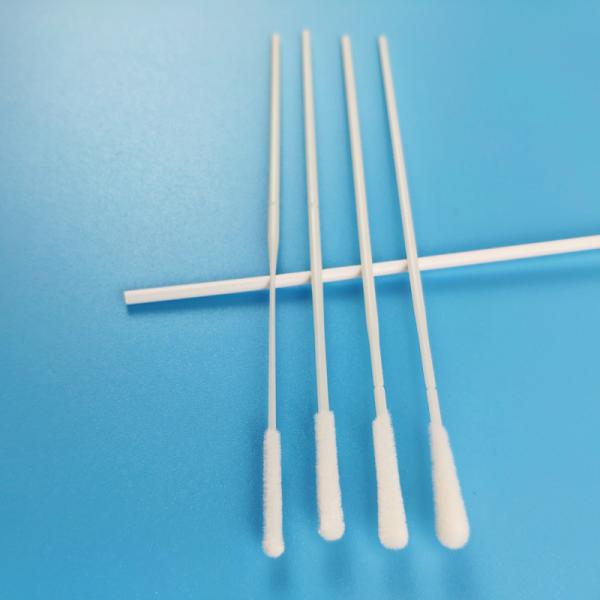 Quality 15cm Sample Collection Nylon Head Flocked Nasopharyngeal Swab for sale