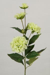 China Artificial Cream Zinnia wholesale