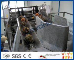 China High Efficient Pineapple Processing Line With Pineapple Cutting Machine wholesale