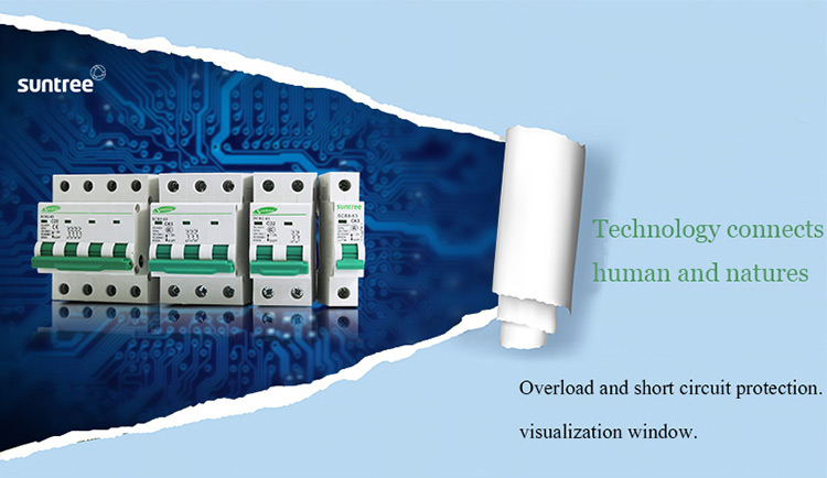 2 Pole AC MCB Switch