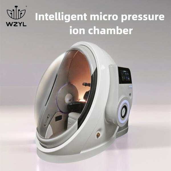 Quality Hard Hyperbaric Chamber 1.3ATA Anti Aging Antioxidant Hard Shell Hbot for sale