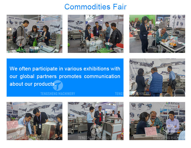 Circulating Hole Fruit Processing Line , Tengsheng Roller Conveying Vegetable Processing Line