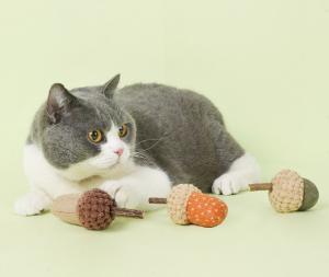 China Scratcher Training Catnip Chew Toys For Cats Teeth For Pets Kittens Kitty Supplies wholesale