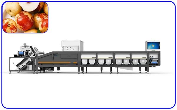 Quality Large Yield 50Hz 7.5KW Date Sorting Machine 8 Lanes Food Sorting Equipment for sale