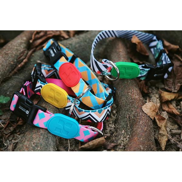 XS Sunrise Polyester Dog Collar Accessories HiDREAM Profusion Martingale