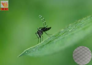 Black Fine Mesh Garden Netting For Screening , HDPE Insect Netting For Plants