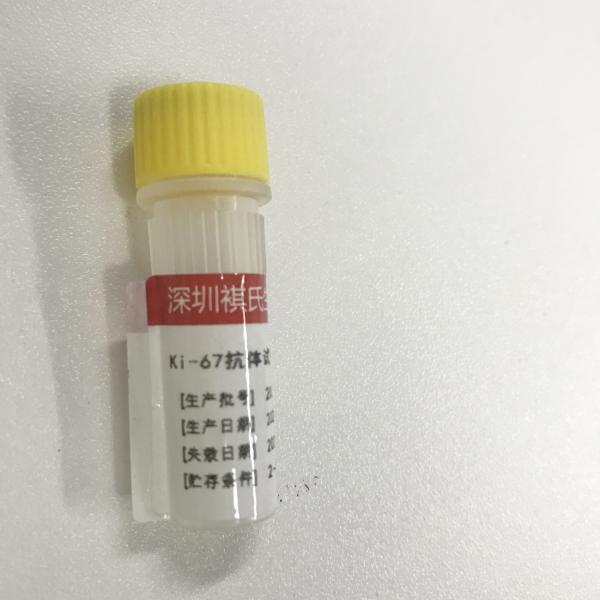 Quality KISSH Primary Antibody Products Ki-67 Immunoassay Antibody Test IHC 1.5mL 3.0mL for sale