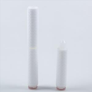 Air Sterilization Filtration 0.22μm 20 PTFE Filter Cartridge