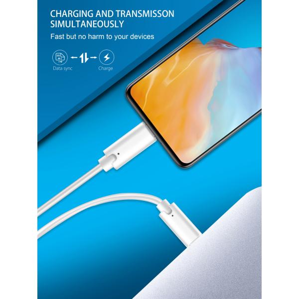 Gen2 10Gbps Usb 3.1 Type C Cable , 100W PD 2M 4k Uhd Cable