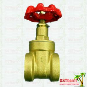 China Flexible Brass Gate Valve With Plastic Part Ppr Coated Check Valve wholesale