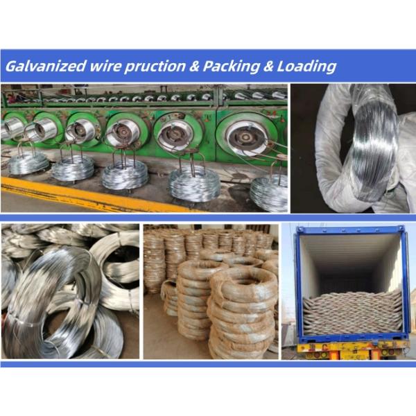 Binding Electro Galvanized Iron Wire With Zinc Coating for Building and Construction BW16&BWG18