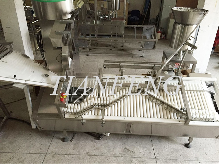 GMP 80pcs/Min Counting Horizontal Packing Machine