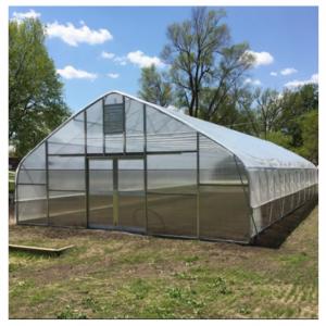 China Polycarbonate Tunnel Greenhouses With Climate Control Galvanized Steel Frame wholesale