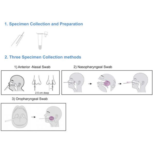 CE SARS-CoV-2 Antigen Home Test Kit For Travel 10 Tests/Kit Sensitivity 98%