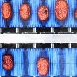 Smart Machines Sort All Kinds Of Dates 12 Lanes Dates Sorting Machine
