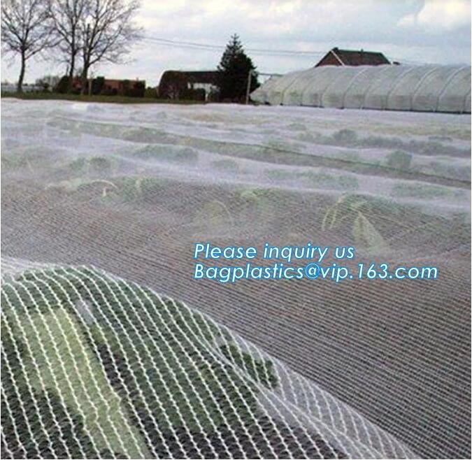 100% new HDPE insect mesh / anti bird net for apple trees,greenhouse anti insect net for plant, agriculture net Anti-ins