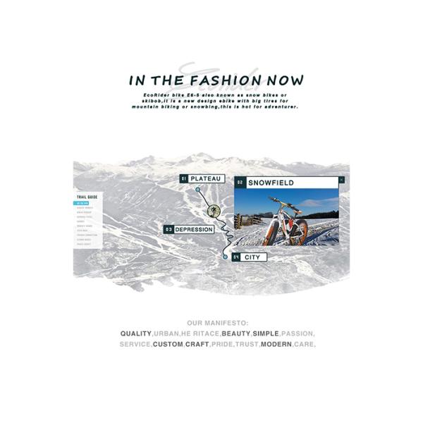 Fat Tyre 2 Wheel Electric Bike 48V Mountain Bike Electric Snowmobile Alloy Frame