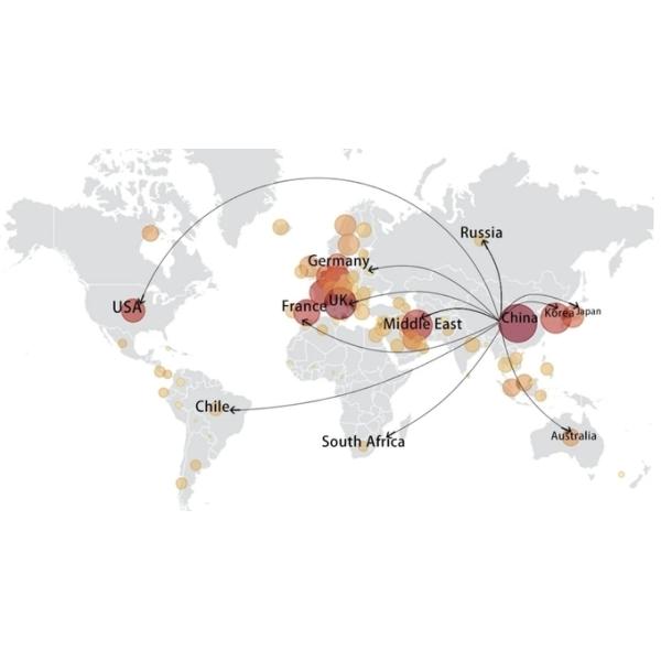 3 ATM Wateproof Citizen Leather Watch Lady Leather Strap Watches ISO Certificate