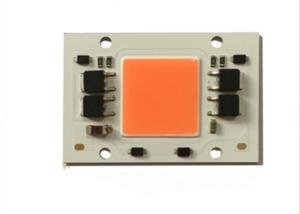 China Factory Price Driverless Full Spectrum Led Chip 100 Watt COB Led For Grow Light wholesale