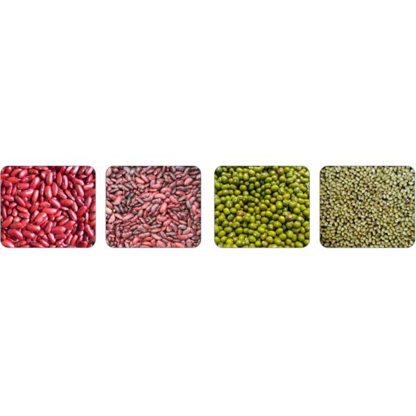 Image Processing Kidney beans / Mung Beans Color Sorter 640 Channels