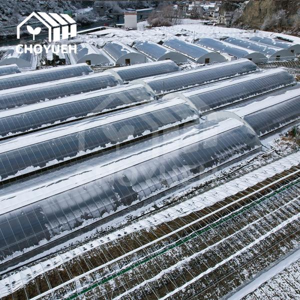 Quality 4mm Glass Solar Greenhouse Heat Insulation High Wind Resistance for sale