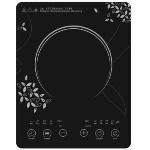 D3 Induction Cooker