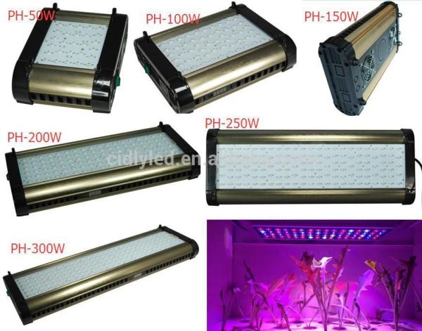 Quality Smart dimmable PT LED 100w full spectrum led grow light for vegetable&MJ maximum yield for sale