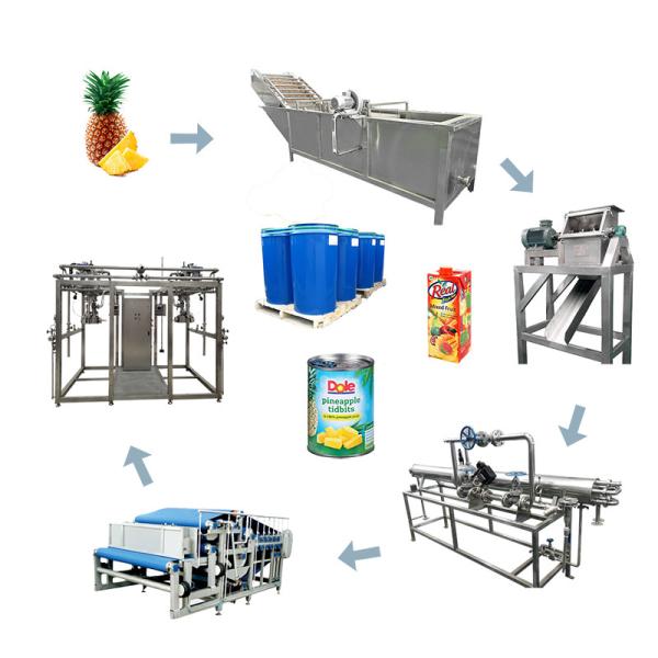 Automatic Pineapple Juice Beverage Processing Line PLC Intelligent Control