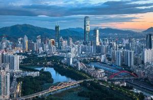 China SHENZHEN No Criminal Record Certification Guide Statement Of No Criminal Record wholesale