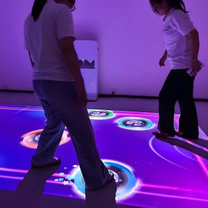 China Northern Lights Mobile Interactive Projector with 80 Games wholesale