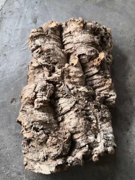 Quality Factory Wholesale 3~4cm thickness Virgin Cork Bark Perfect for Dispalying Air Plants, Bromeliads & Orchids for sale