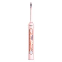 2024 Wholesale Sonic Whitening Electric Toothbrush For Adults, With 2 Dupont for sale