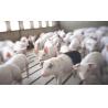 Buy cheap High Durability 2000 Pigs Farm Livestock Farming Equipment from wholesalers