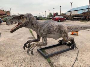 China Life Size Realistic Animatronic Dinosaur Velociraptor Model Theme Park Dinosaur wholesale