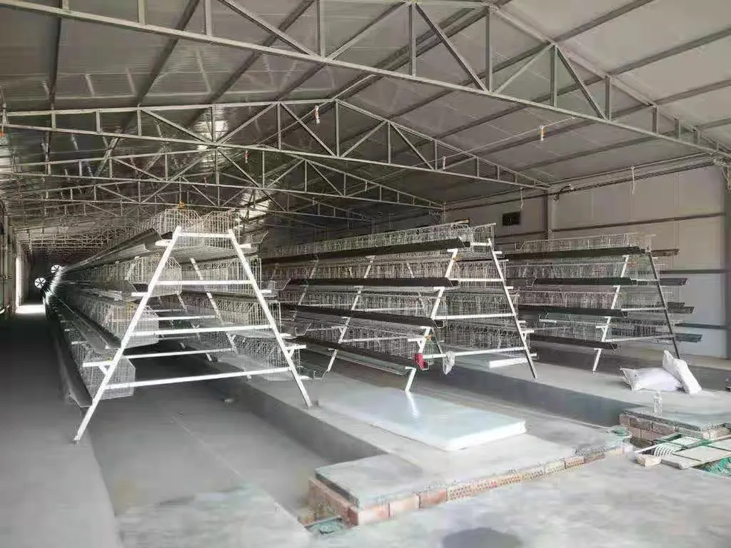 Customized Color Layer Cage System A Type Chicken Layer Battery Cage Long Lifespan