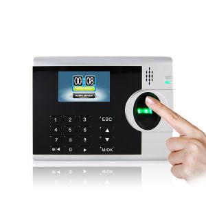 China Web Based Employee Fingerprint Time Attendance System Stable Connection wholesale