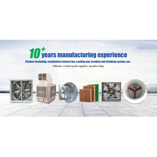 Source Factory 50 Inch Pig Pen Using Poultry Exhaust Fan Poultry Fan Poultry Farm Ventilation Fans for Sale