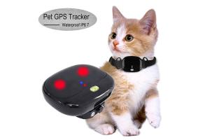 Ariza Geo-Fence Wifi Pet Tracker , Real Time Gps Tracker For Dogs