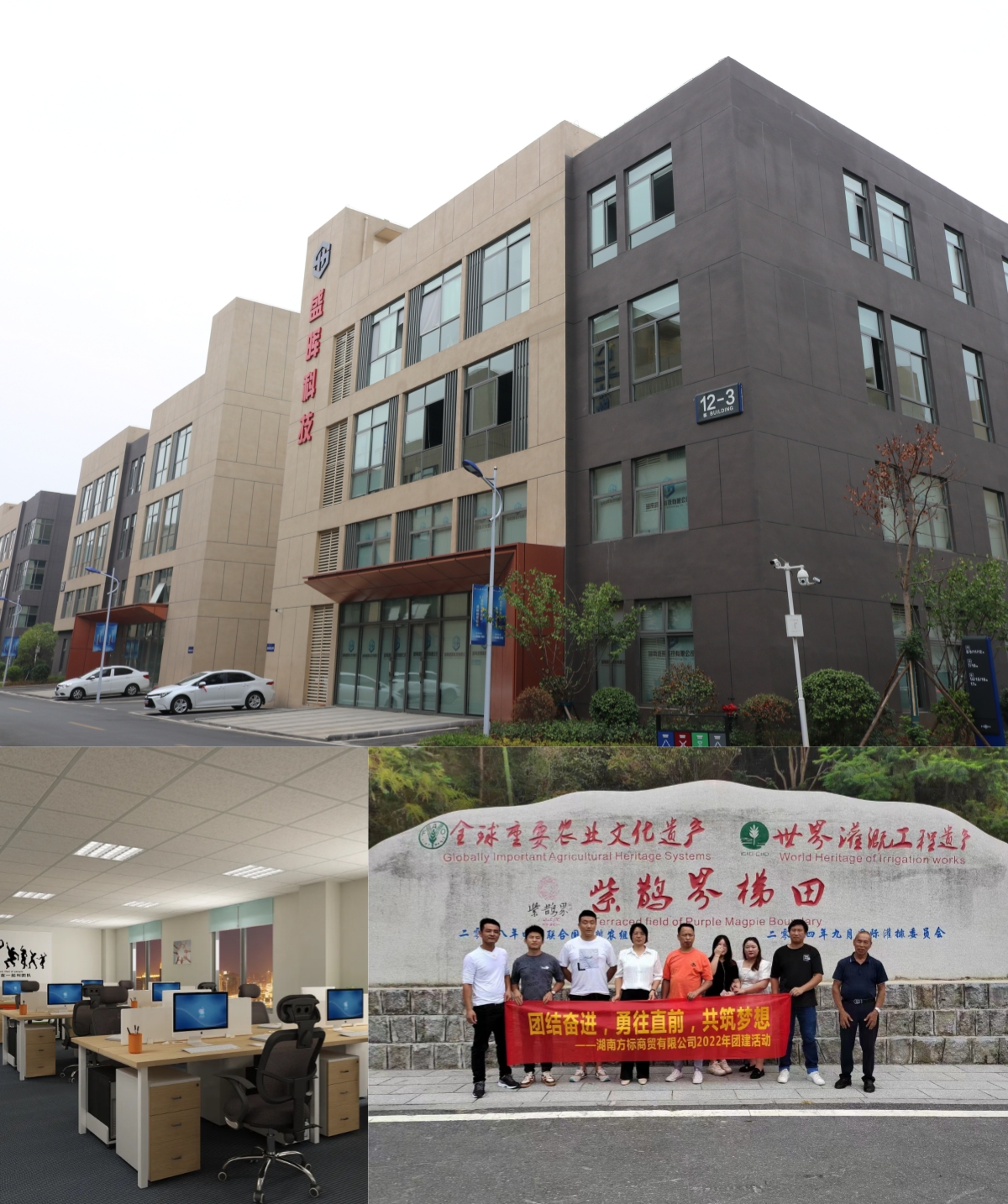 Oil Water Metal Ball Valve Female Threaded Forged Brass Ball Valve Manufacturers