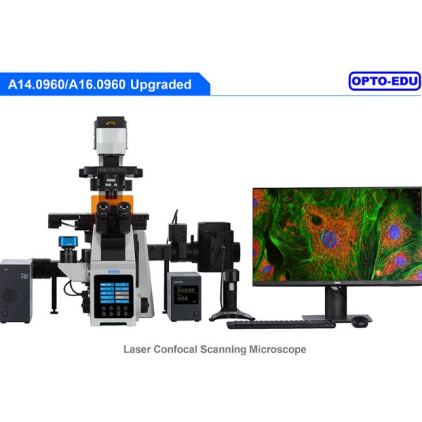 Opto Edu A16.0960 Research Level Inverted Fluorescent Microscope Motorized Nosepiece Condenser