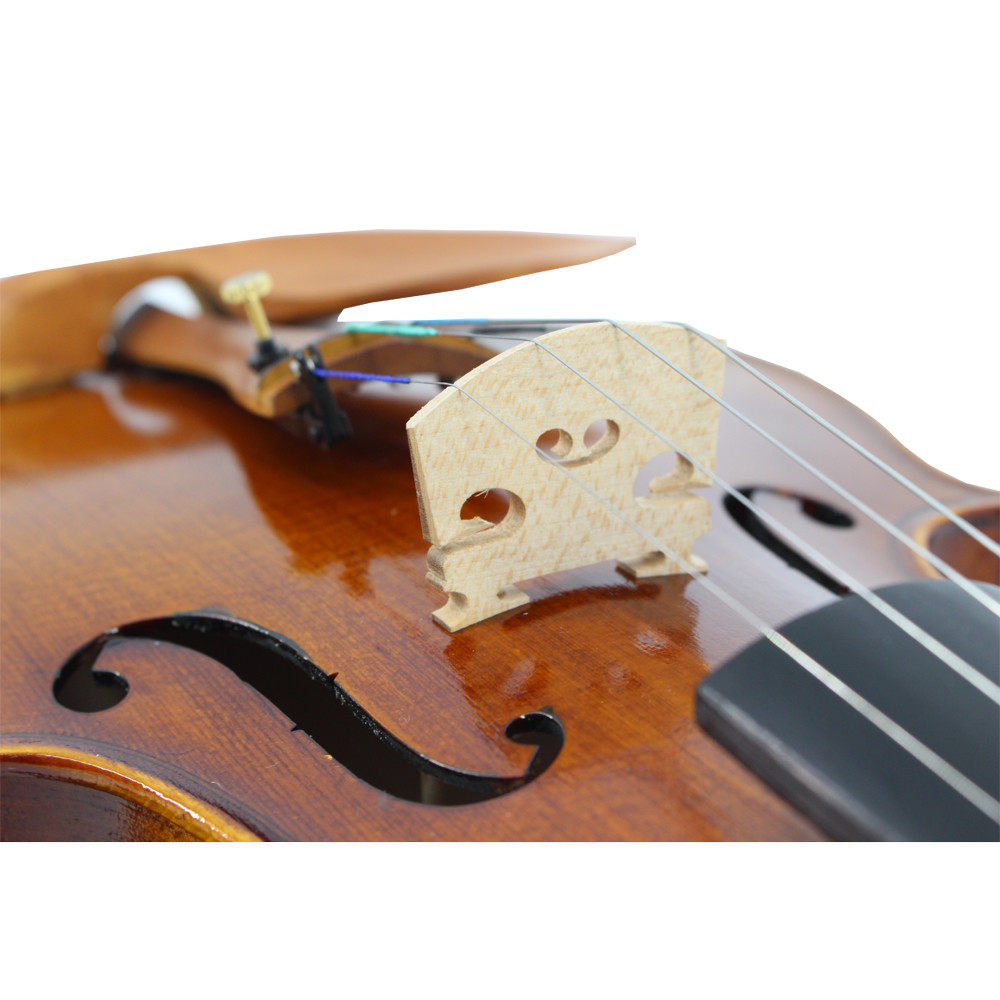 Good Sound Strings Instrument 4/4 or 3/4 Violin For Beginner Best Beginning Violin Book for Kids: Combining two popular