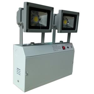 China Commercial Buildings Self Testing Emergency Lights Fixture With 2X10W COB LED wholesale