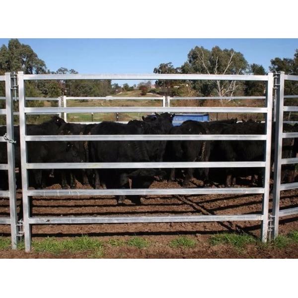 115mm X 42mm X 2.0mm Bull Rail Corral Panel Fence Of Low Carbon Steel