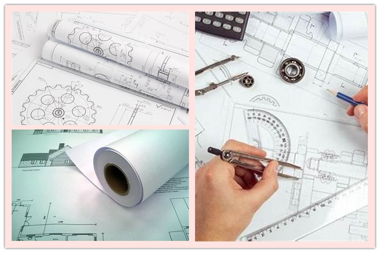 Uncoated White Wide Format Paper Inkjet Plotter Paper Roll 80gsm