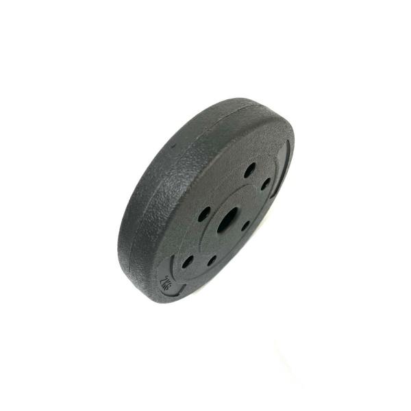 Wholesale Ladies Home Use Colored Cement Dumbbells PP Friendly Plastic Ring Dumbbell