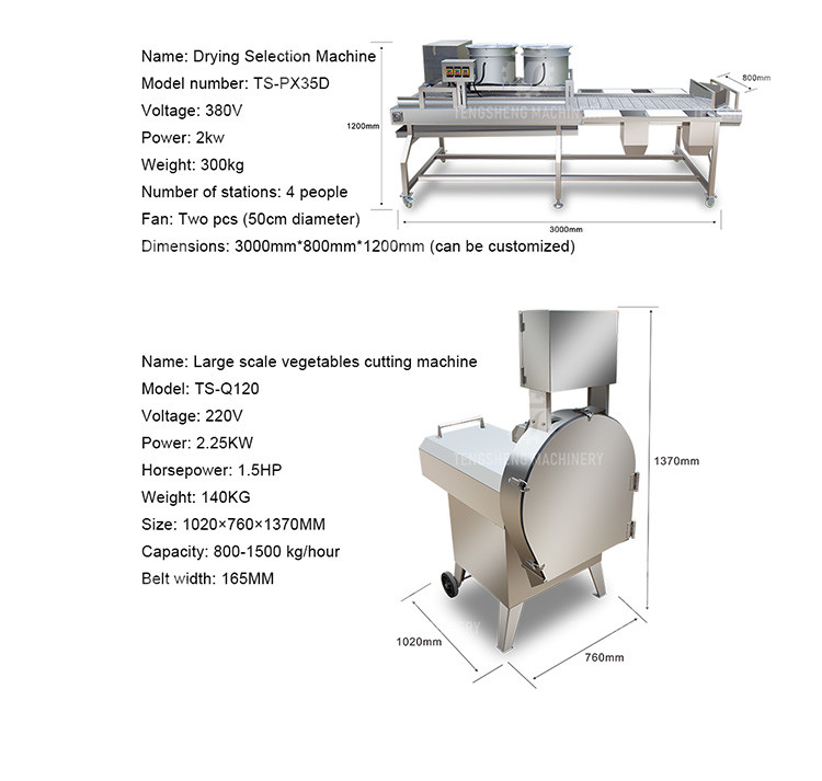 Industrial Fruit And Vegetable Processing Line Brush Bubble Cleaning Drying Selection And Cutting
